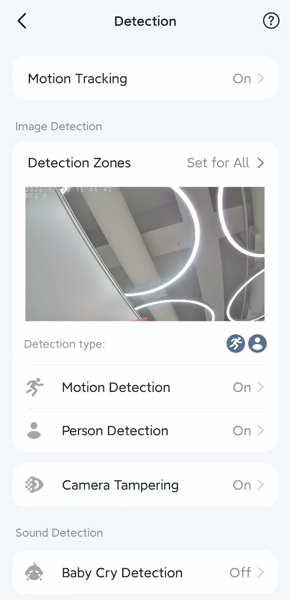 The Detection settings of camera.