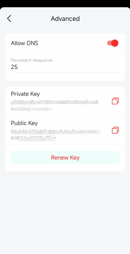 Display the advanced settings of WireGuard server.