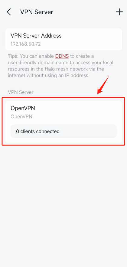 Tap the OpenVPN card to edit the OpenVPN server settings.