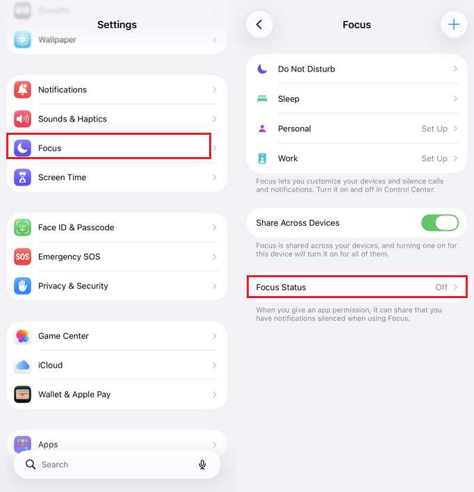 Focus settings and focus status of the phone.