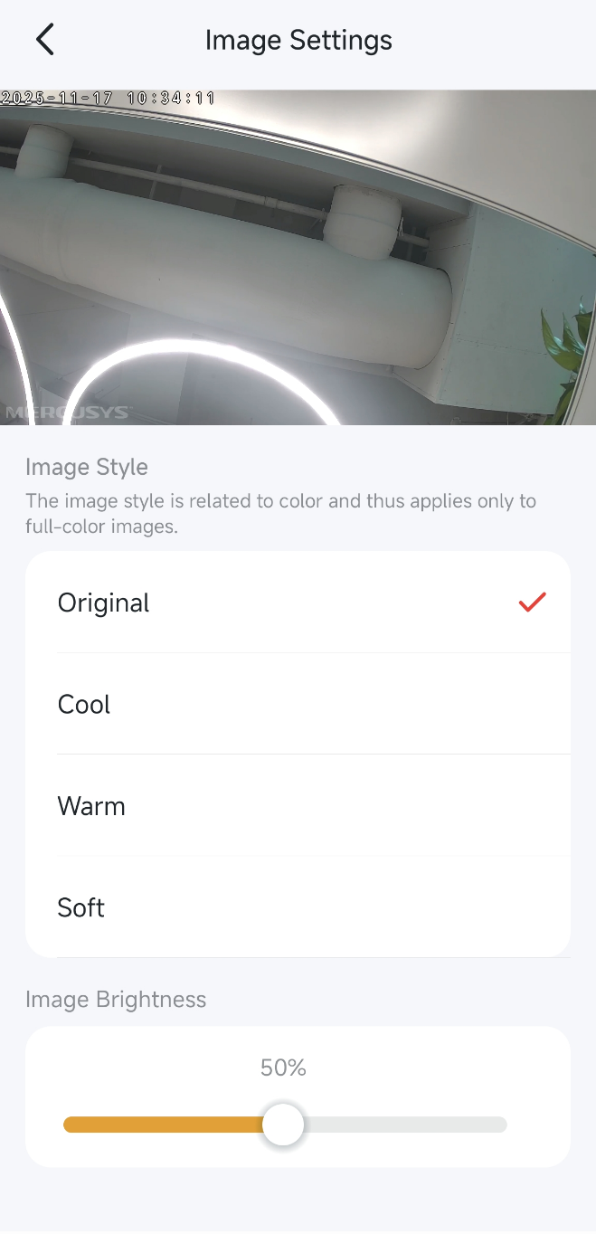 Image settings page where you can select image style and adjust image brightness.