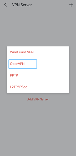 Display the supported VPN type on Halo.